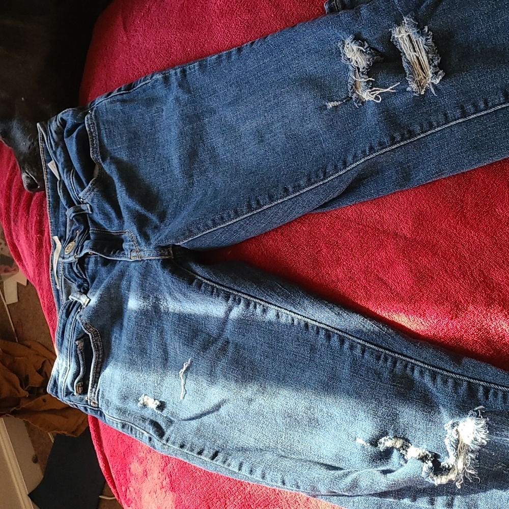 Levis - Picture 4 of 6